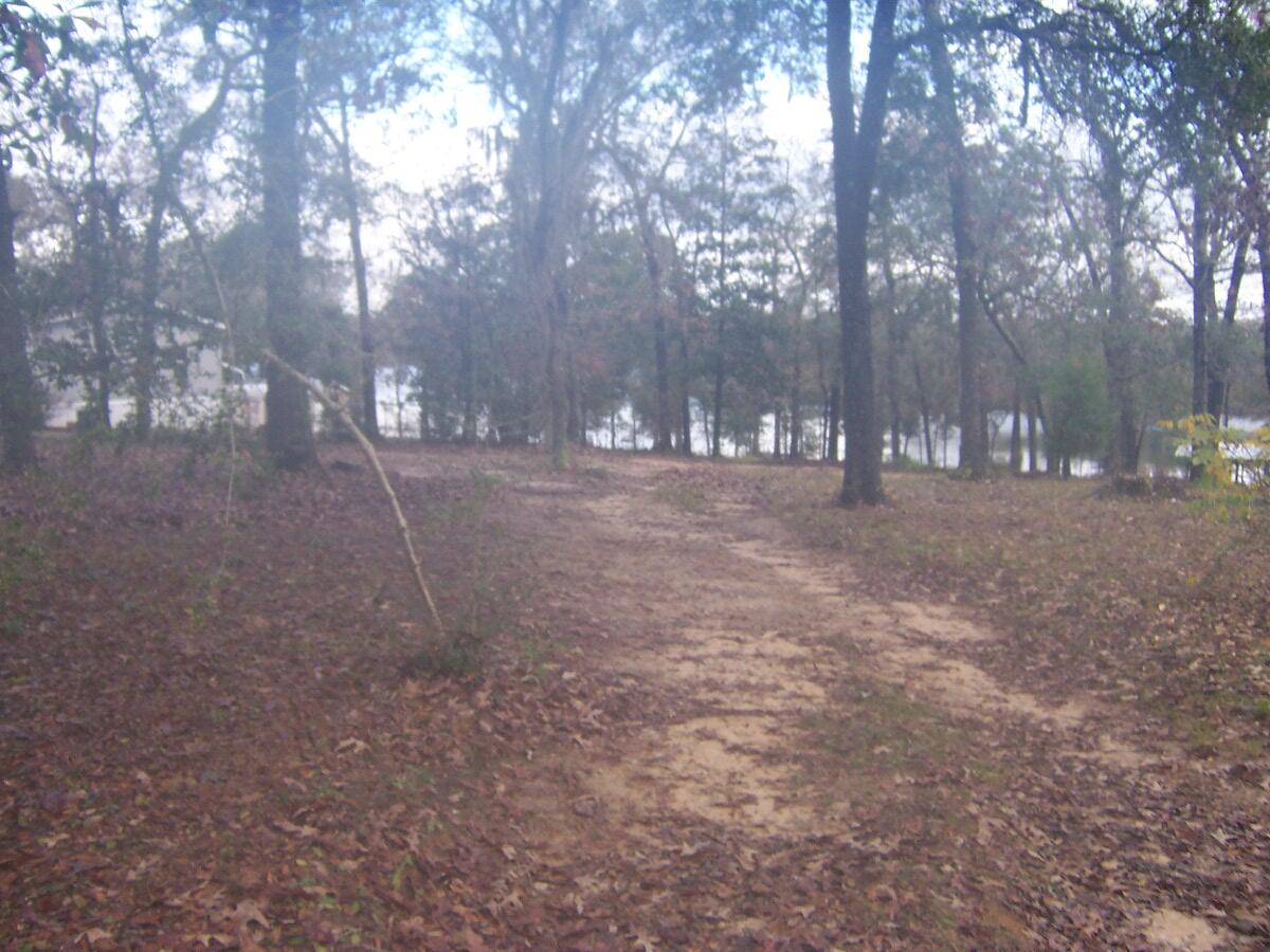 PIper Landing - Land