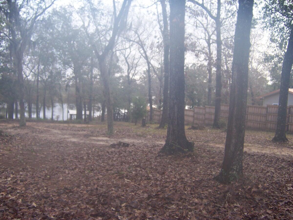 PIper Landing - Land