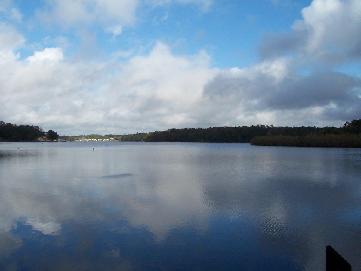 PIper Landing - Land