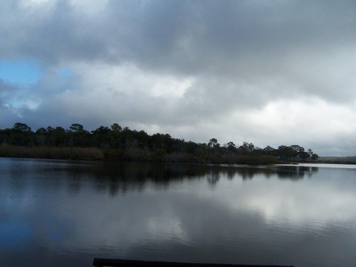 PIper Landing - Land