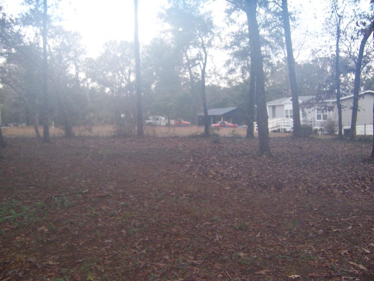 PIper Landing - Land