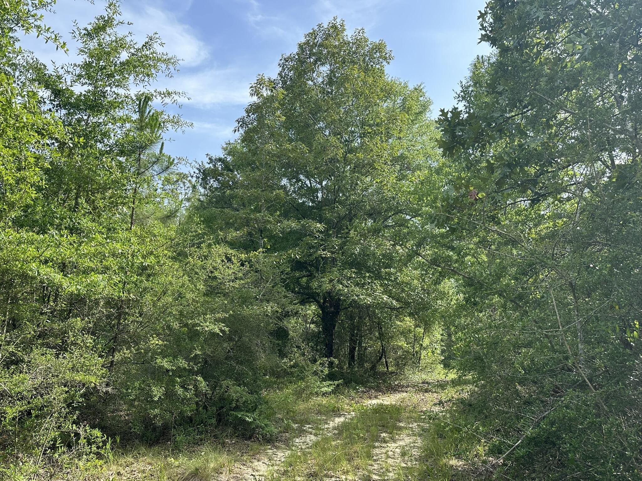 NO RECORDED SUBDIVISION - Land