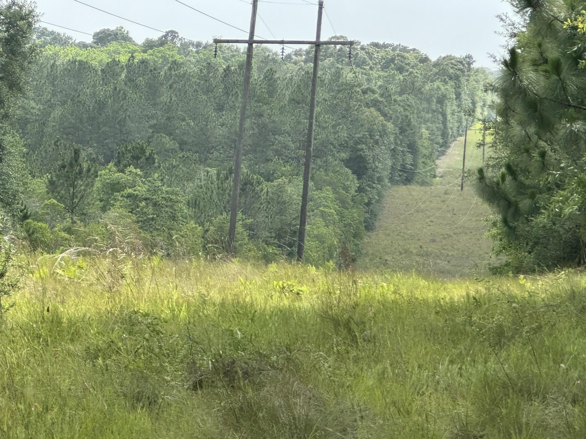 NO RECORDED SUBDIVISION - Land