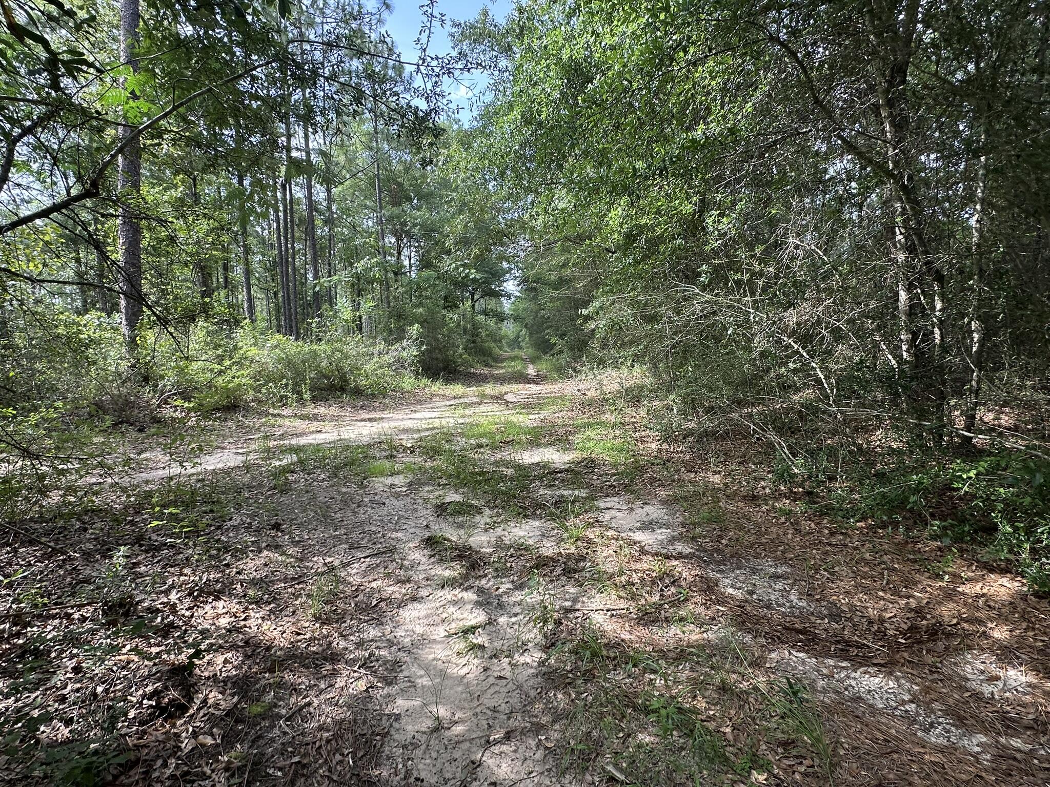 NO RECORDED SUBDIVISION - Land