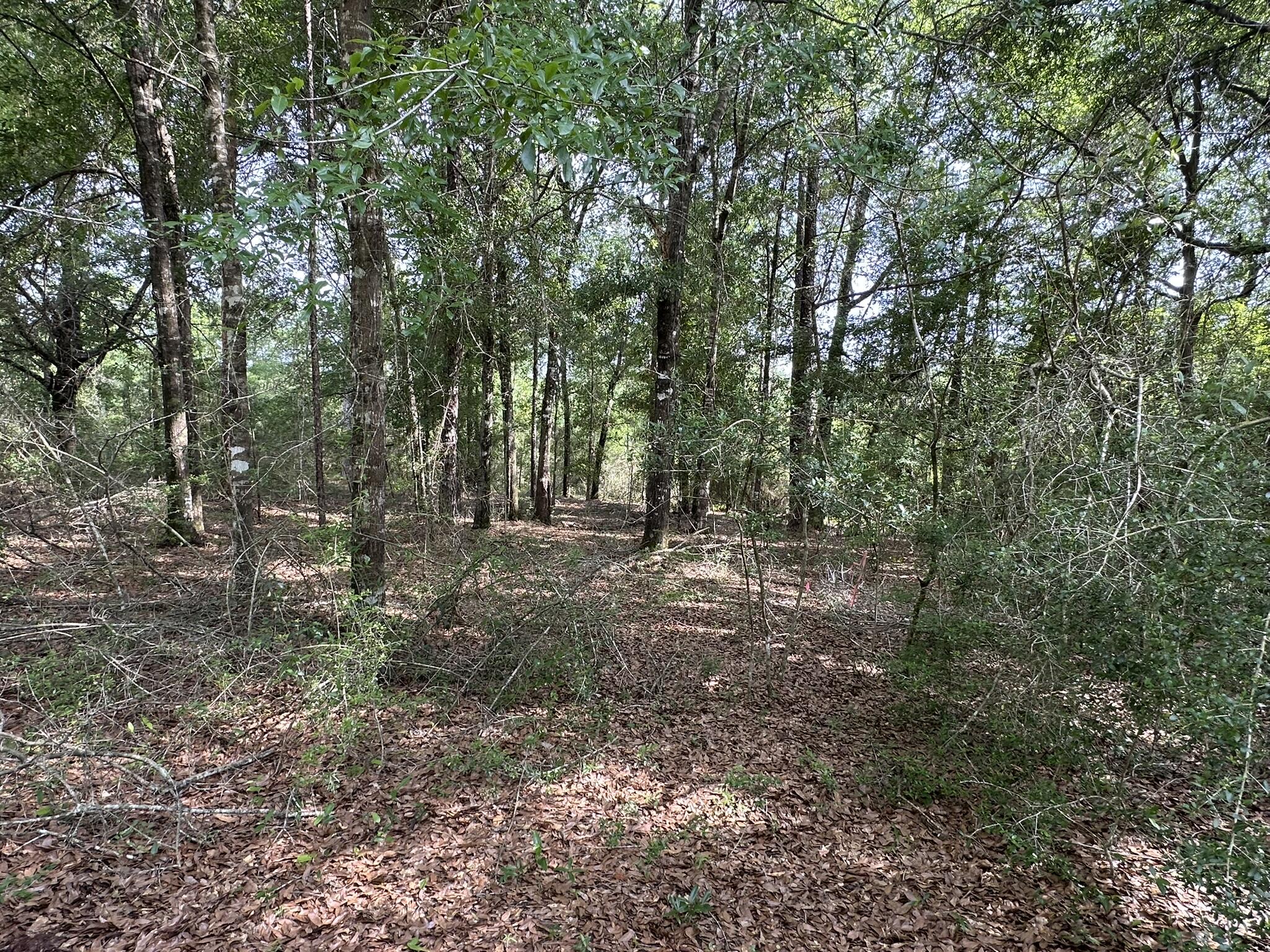 NO RECORDED SUBDIVISION - Land