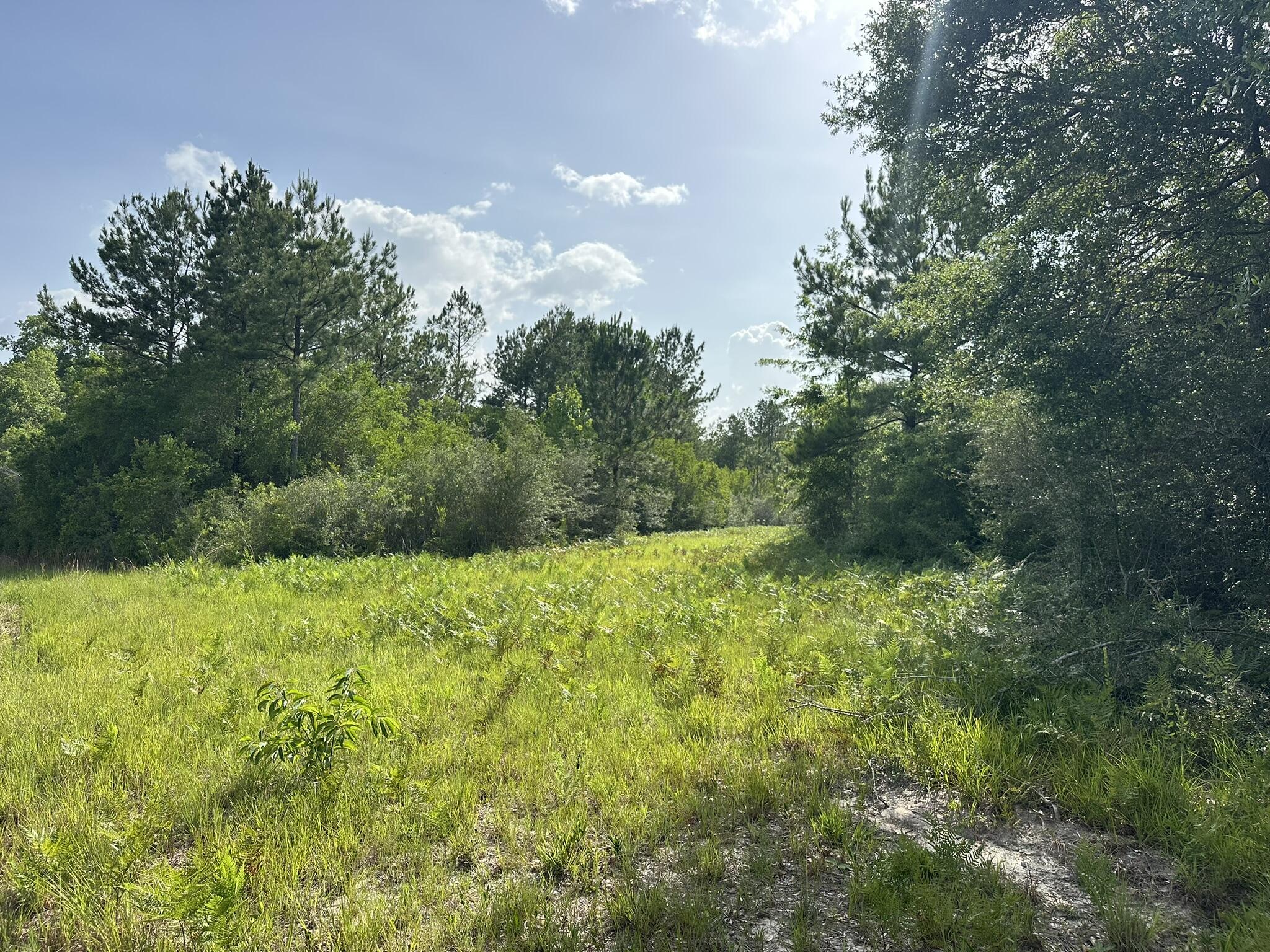 NO RECORDED SUBDIVISION - Land