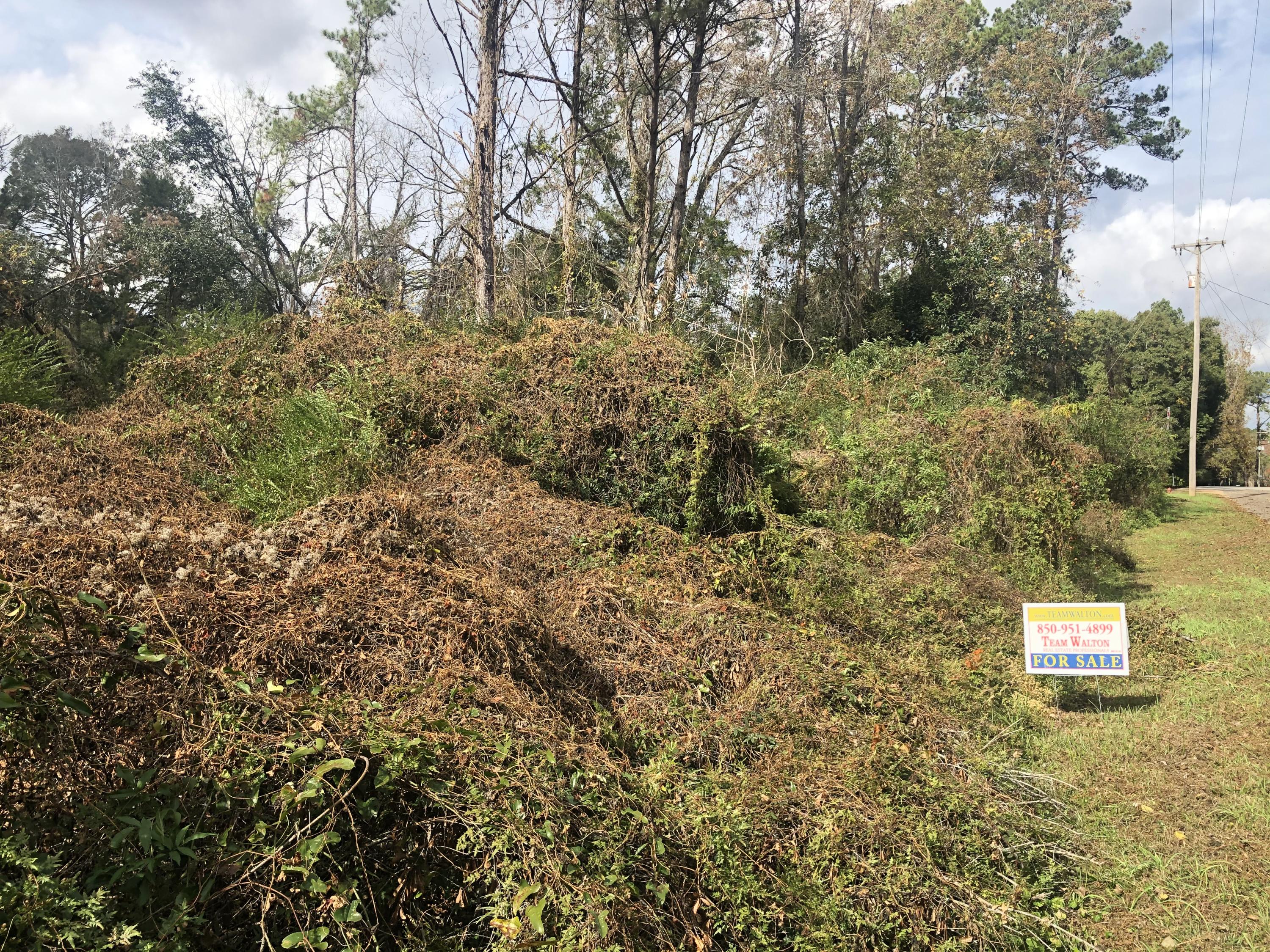 REDUCED!! 2 acres on Main Street in Westville, Florida. May have an old well on the property.