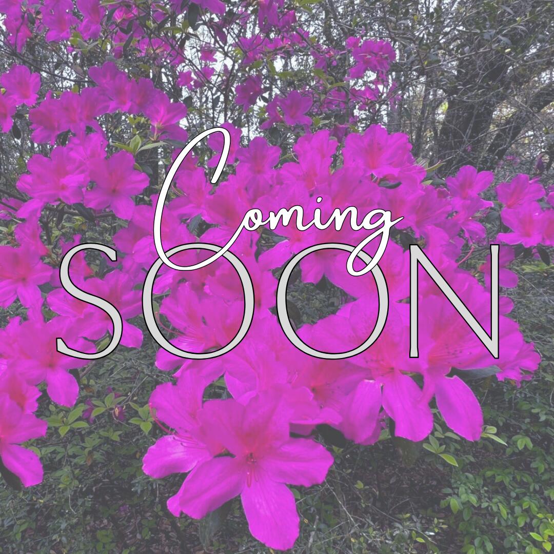 Professional photos coming soon! This 4BR/2BA home will sit on approximately 2 acres and has had all the major updates completed, including a newer roof, HVAC, flooring, electrical, and septic. The roof was replaced in March and the HVAC and electrical wiring in July! The home features a split floor plan, fireplace and a versatile bonus room that can be used as an office, dining area, or flex space. Mature oak trees and azaleas adorn the property giving it that country Florida vibe. There's plenty of room for your horses, chickens, or garden! Located on Old River Road, the property offers the peace and quiet of country living while remaining convenient to Crestview. The landscaping is a blank canvas, and ready for your personal touch. Contact me today to schedule a private showing!