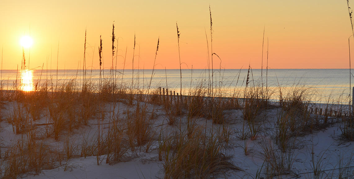 PELICAN BEACH RESORT CONDO - Residential