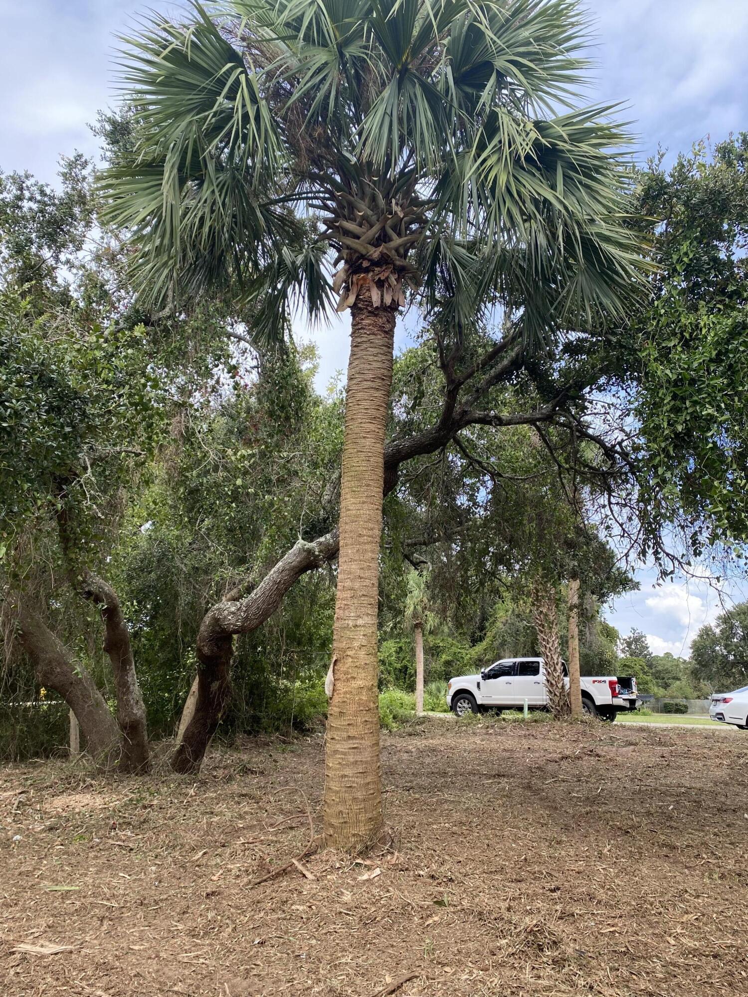 MAGNOLIA HARBOR - Land