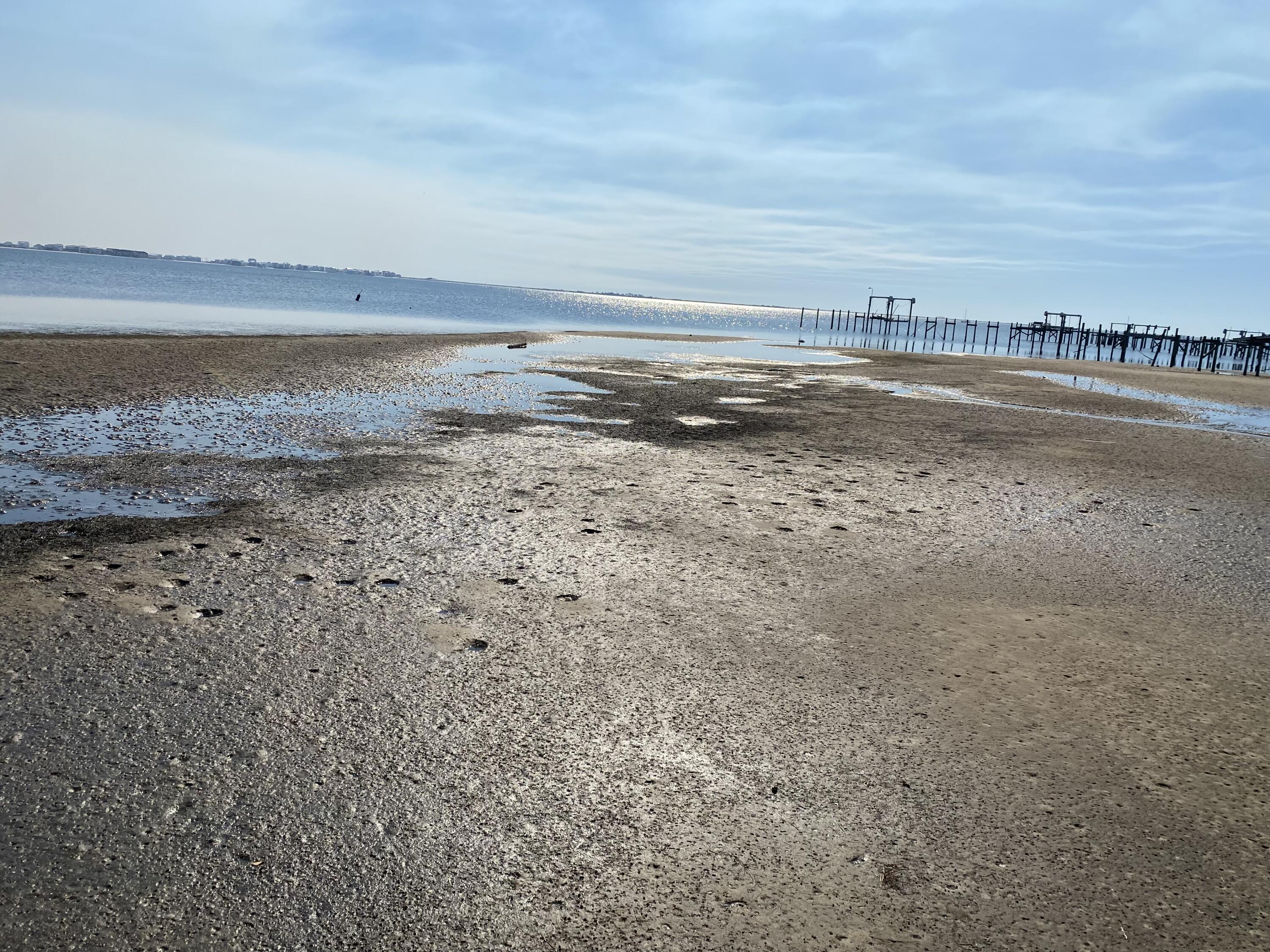 MAGNOLIA HARBOR - Land