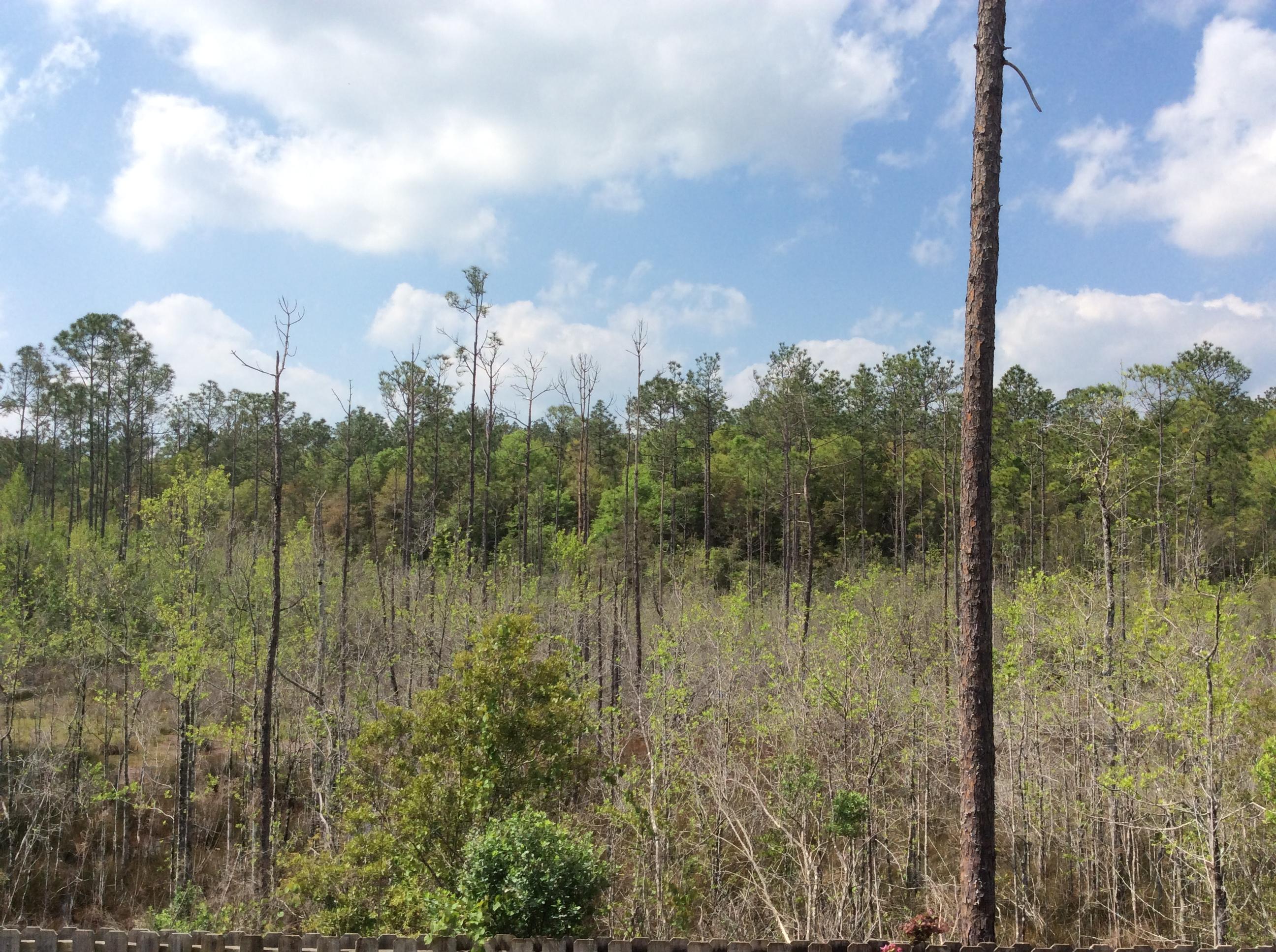 FOX VALLEY PH 3-A - Residential