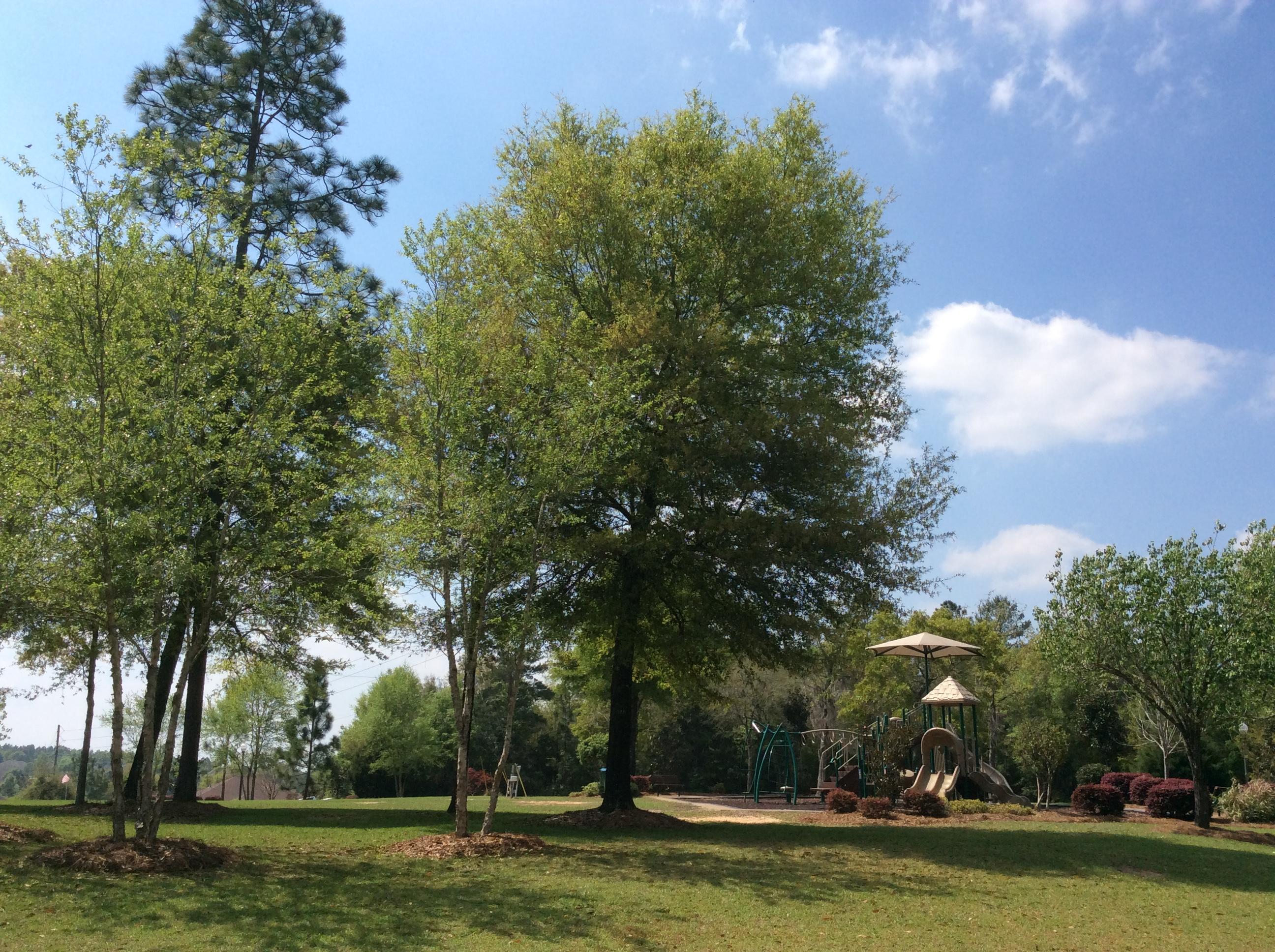 FOX VALLEY PH 3-A - Residential