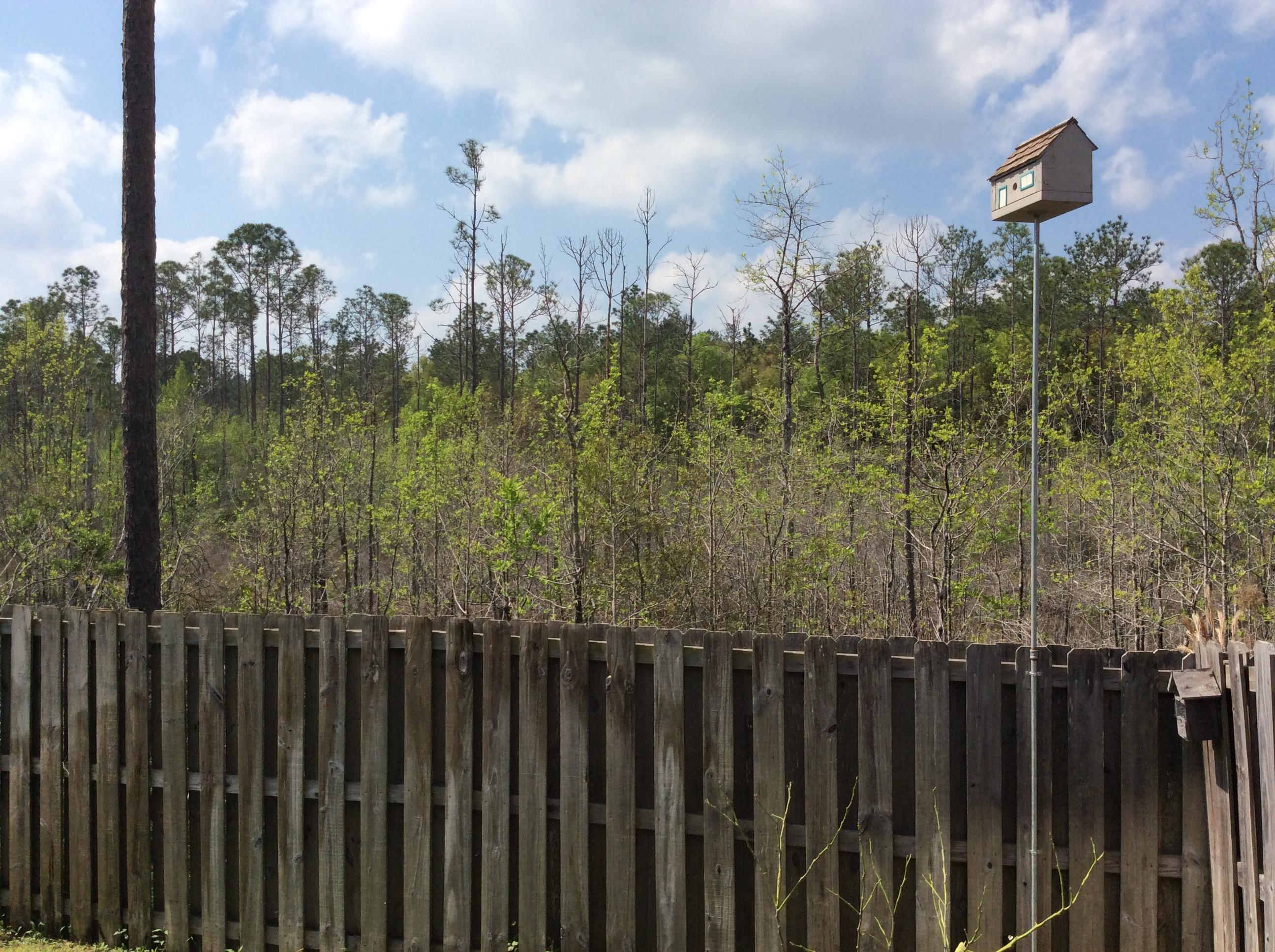 FOX VALLEY PH 3-A - Residential