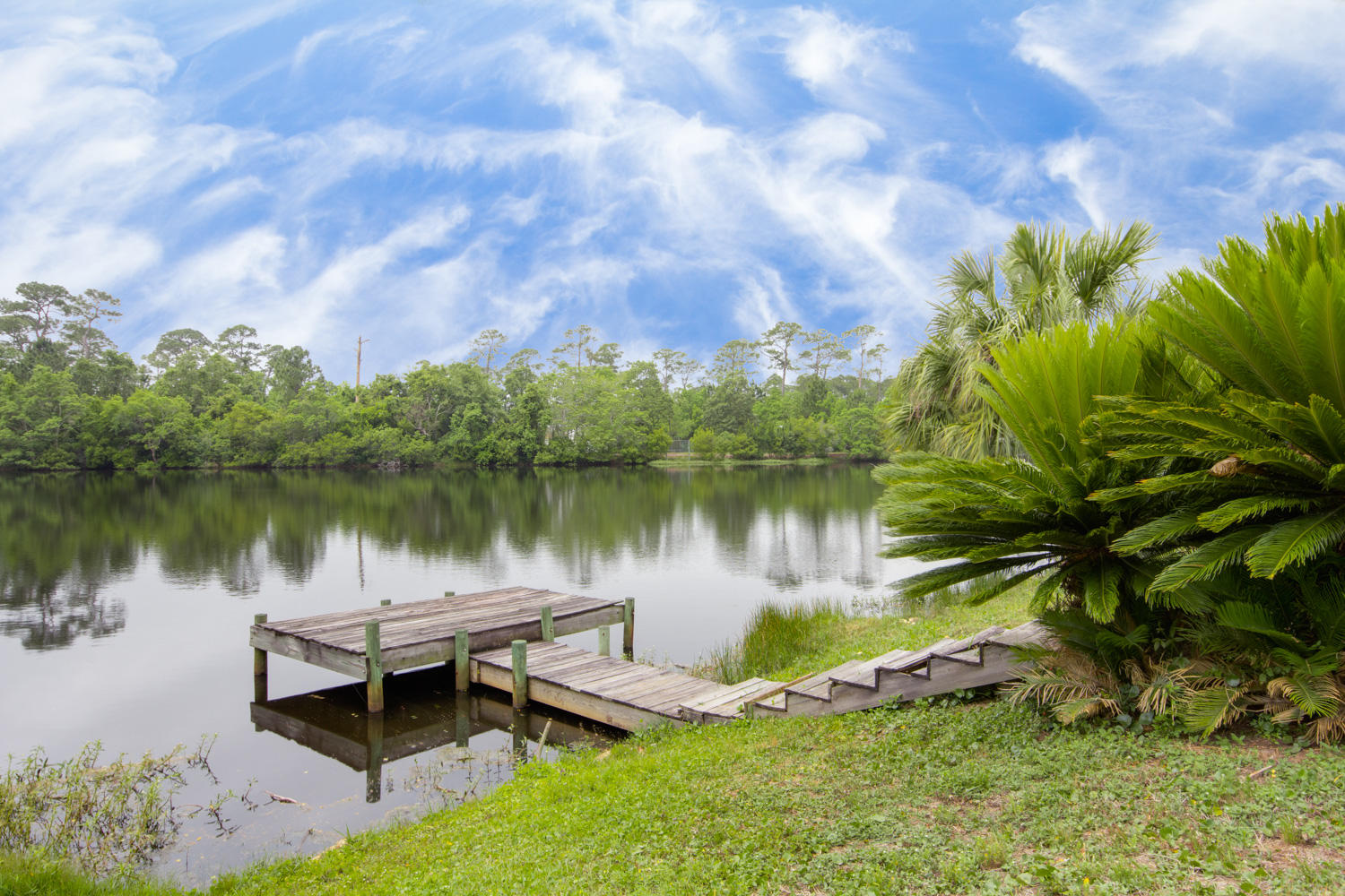 PARISH PINES - Residential