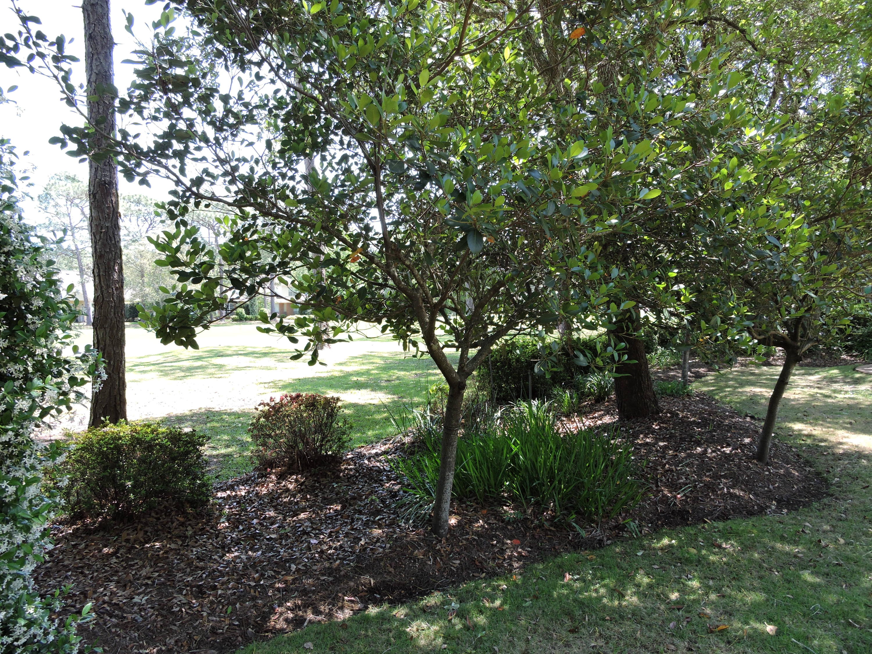 WINDWARD PH 5 - Residential