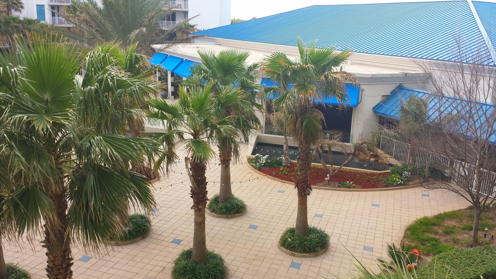 THE PALMS OF DESTIN - Residential