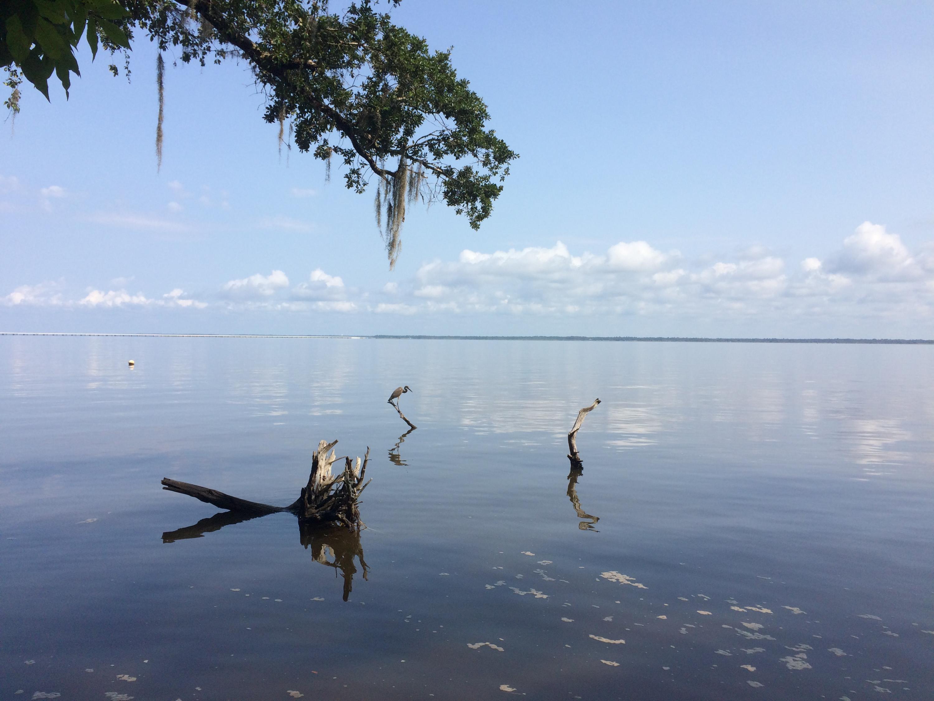 GRAYTON BAYOU - Land