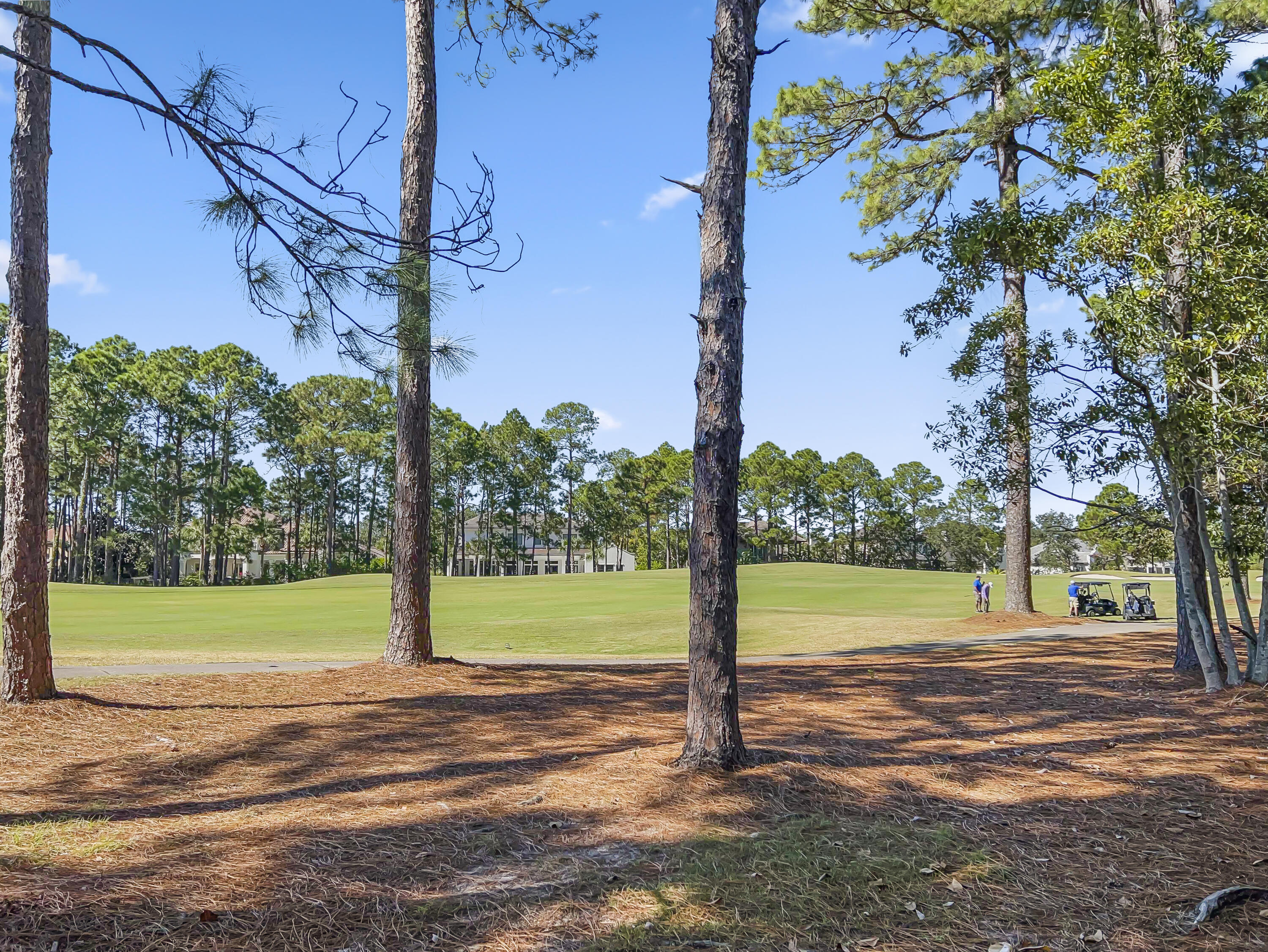 VINEYARD AT RAVEN OAKS - Residential