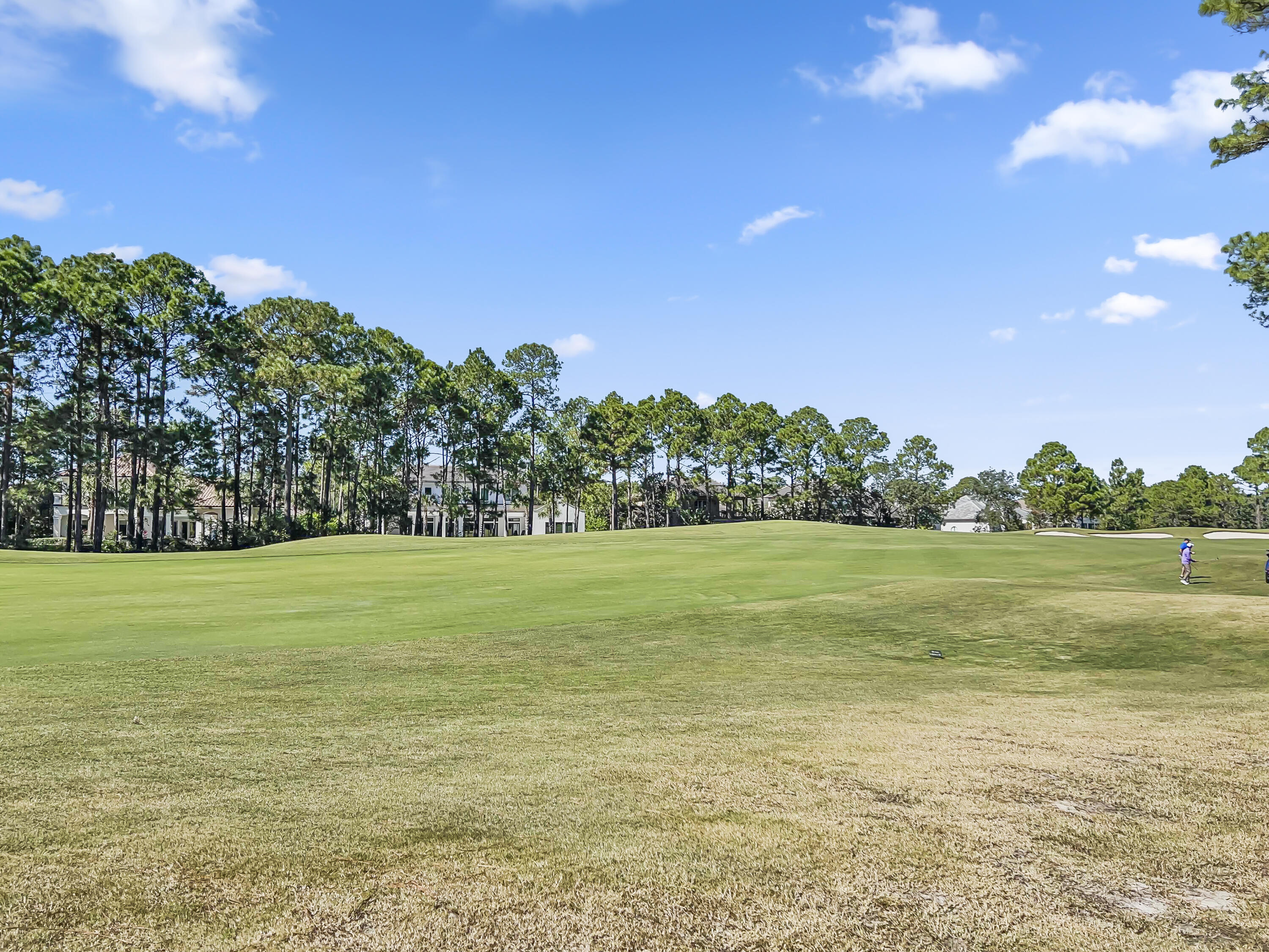 VINEYARD AT RAVEN OAKS - Residential