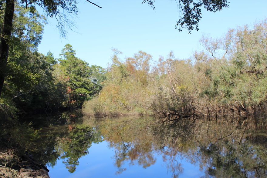 Attention Fishermen!!! Beautiful waterfront lot on the Choctahatchee River. Quiet, peaceful and scenic. Boat, canoe or kayak. Priced to sell!!!