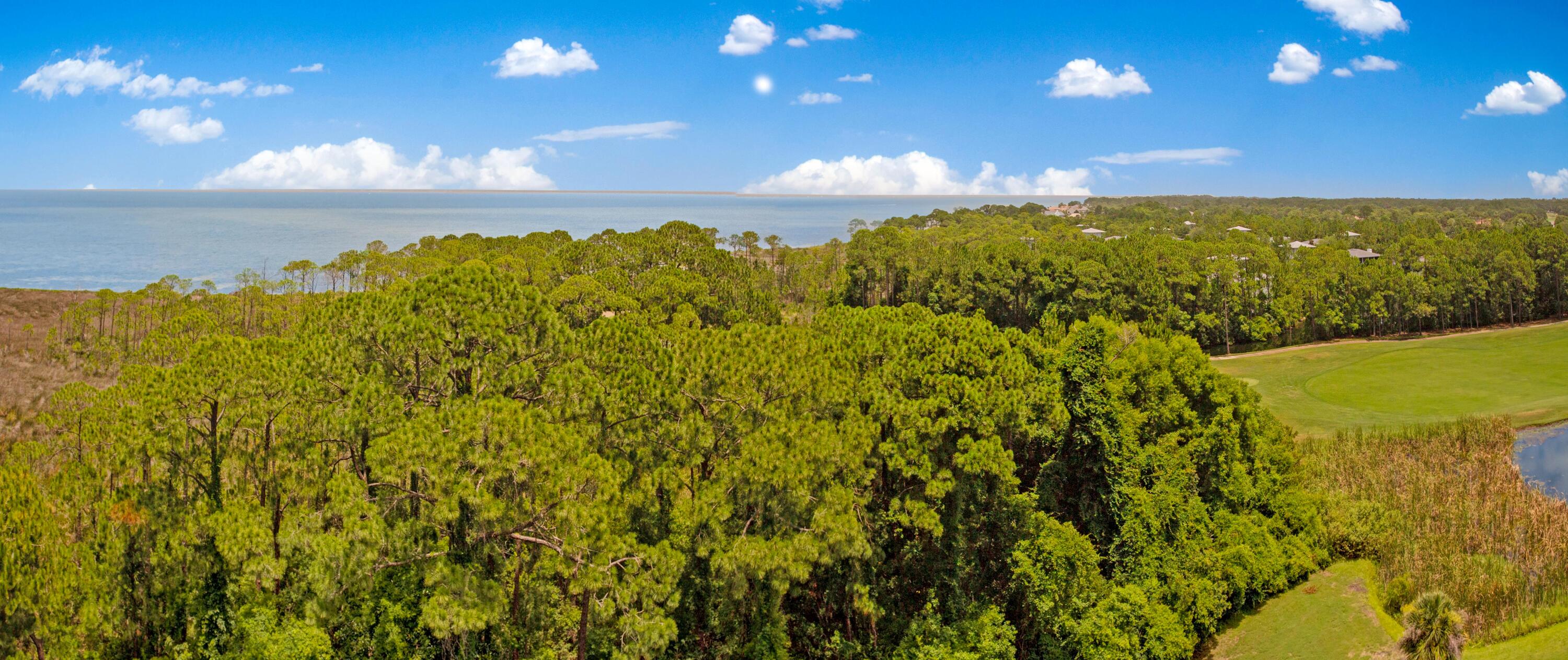 Elation - Residential