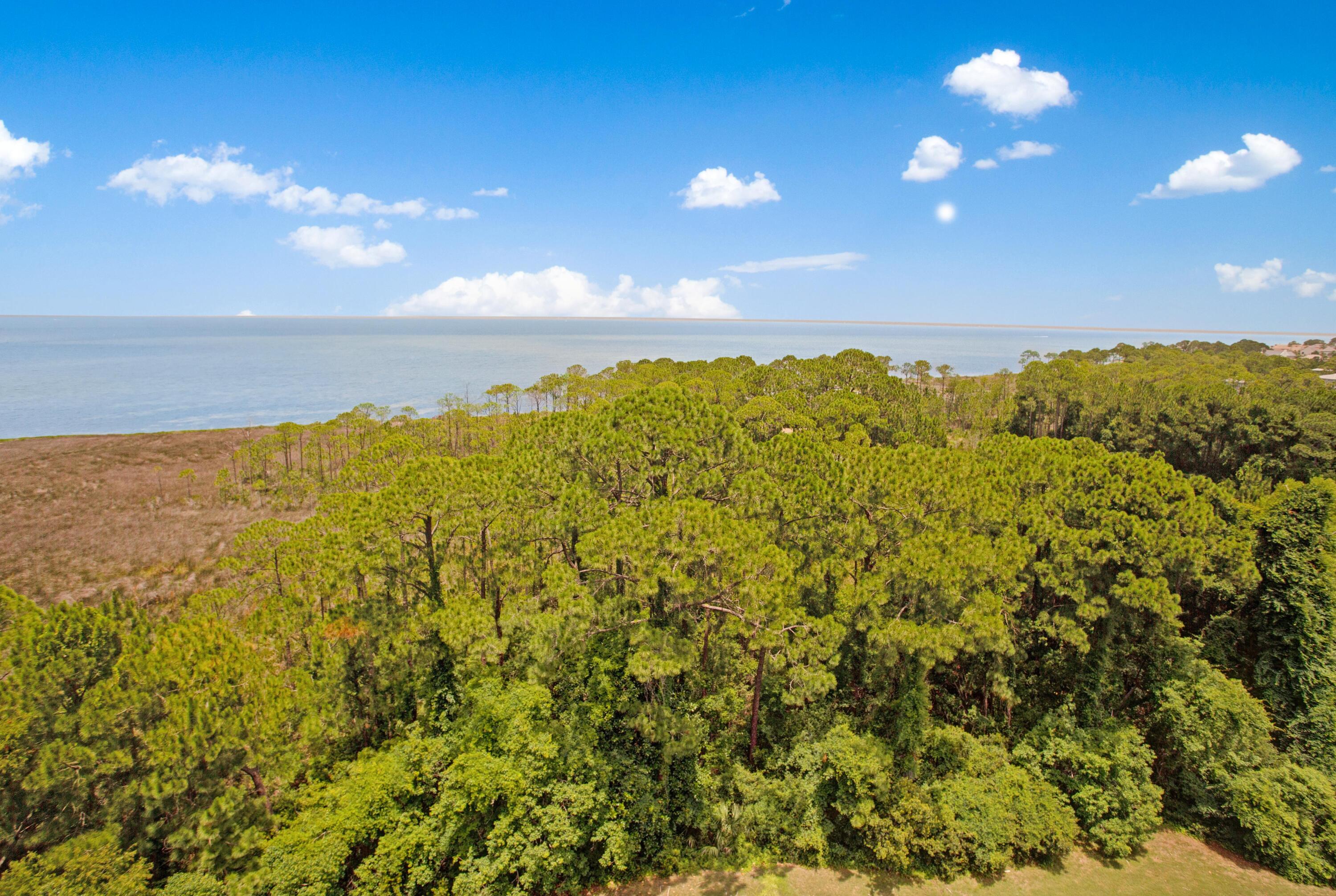 Elation - Residential