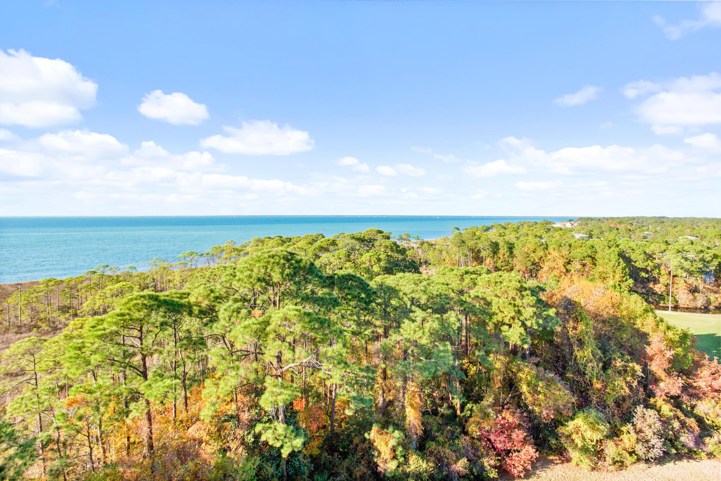 Elation - Residential