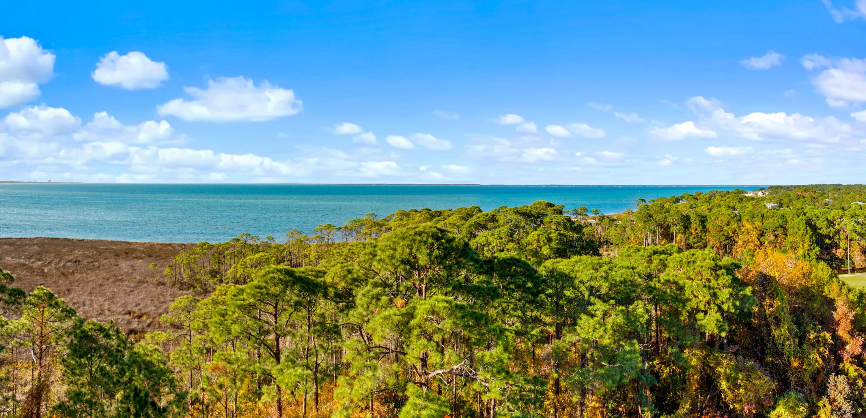 Elation - Residential