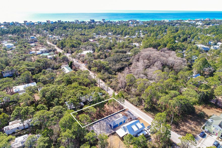 This pristine 50x135 build-able lot is located just a short walk or golf cart ride from the beach; It's also walking distance or a short bike ride from the commercial and shopping hub of Seaside and some of the best restaurants along the Emerald Coast. The lot is dry and build-able (delineation report available upon request), and is perfectly situated for an investment property, secondary or primary home.