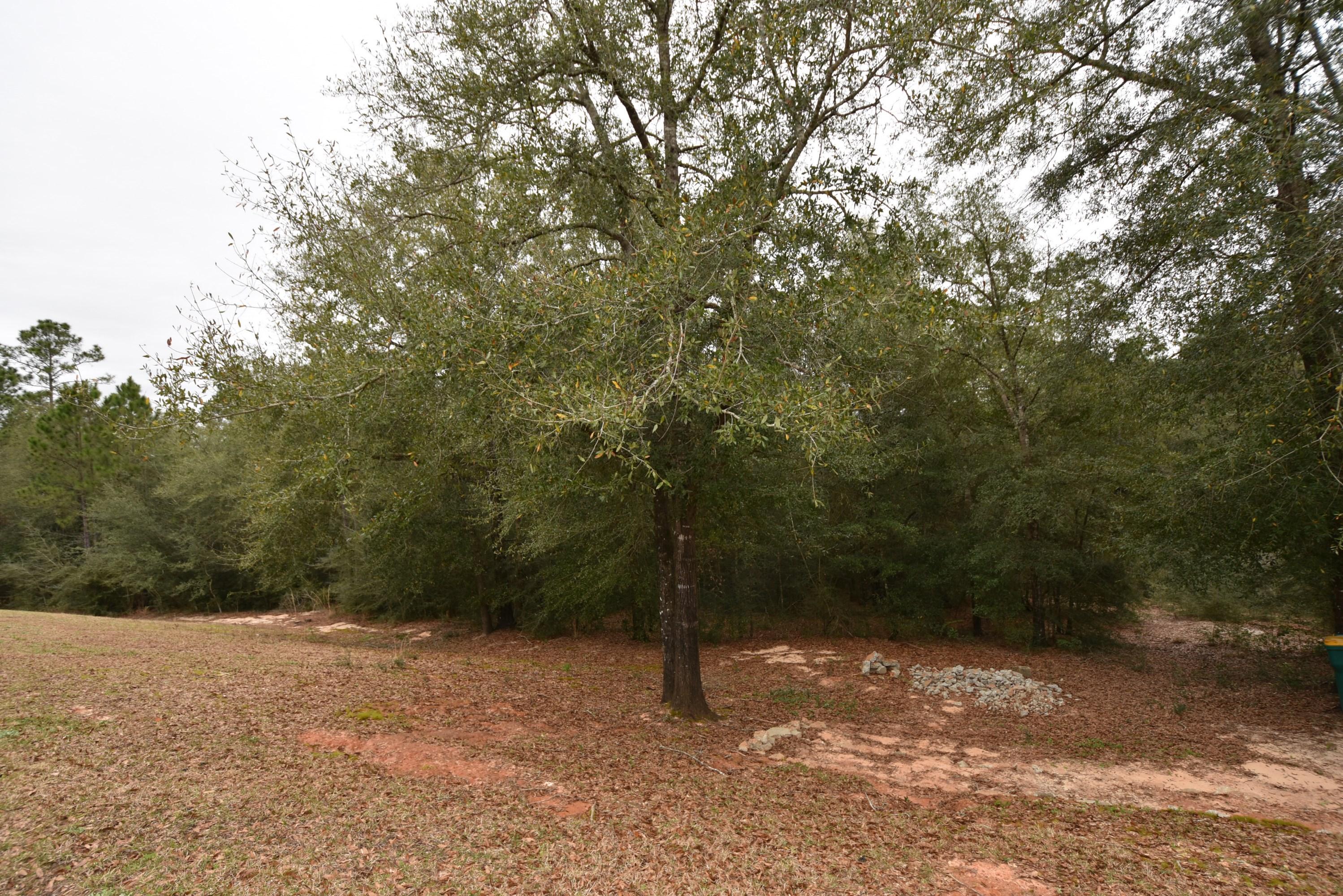 SILVER SPRINGS EST - Residential