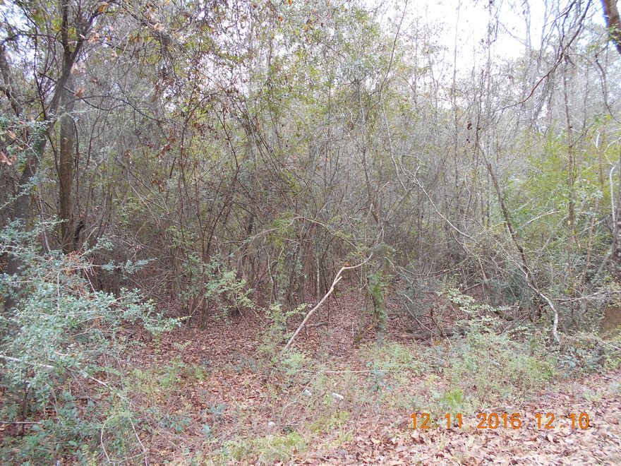 Come bring your horses, your family and live in the country but in walking distance of the Laurel Hill School~ 6.31 +/- acres just off the paved road and just around the corner from the school. Build your dream home or bring your new manufactured home~