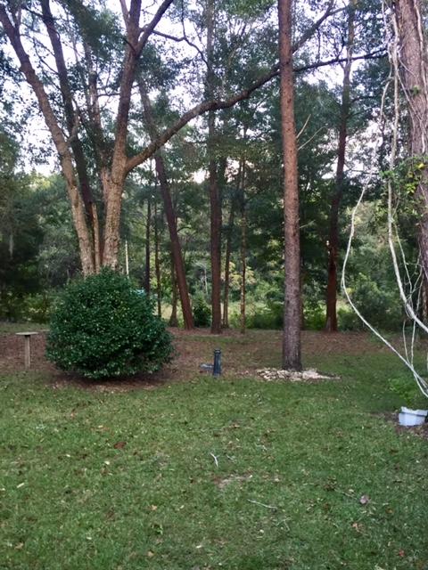 WATERVIEW COVE - Residential