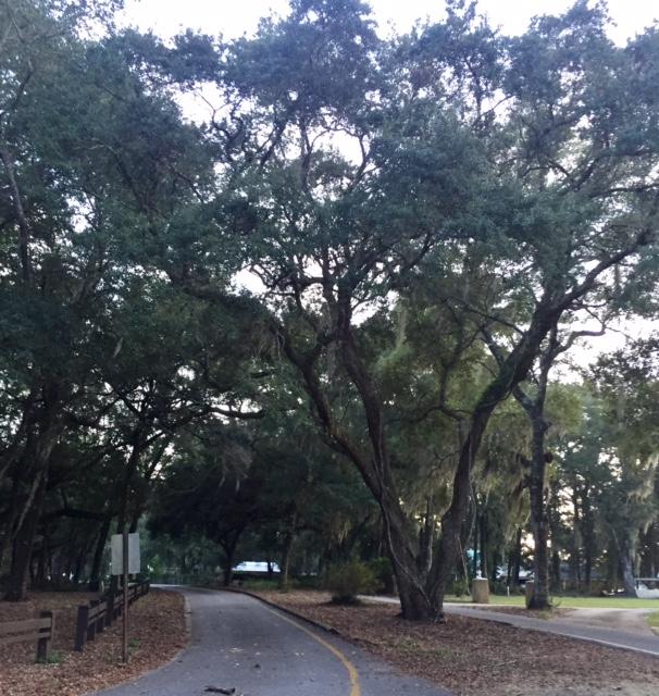 WATERVIEW COVE - Residential