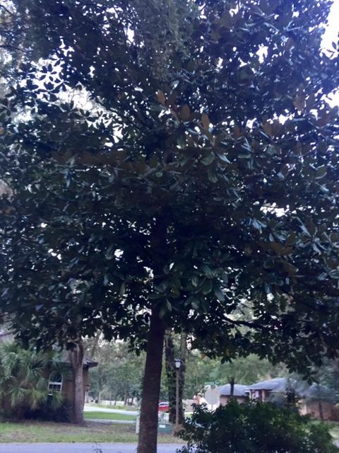 WATERVIEW COVE - Residential