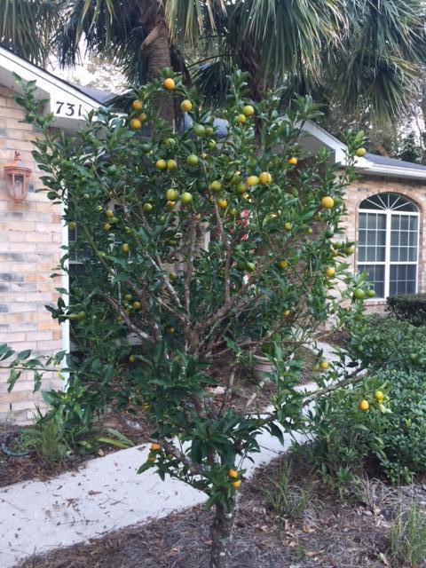 WATERVIEW COVE - Residential