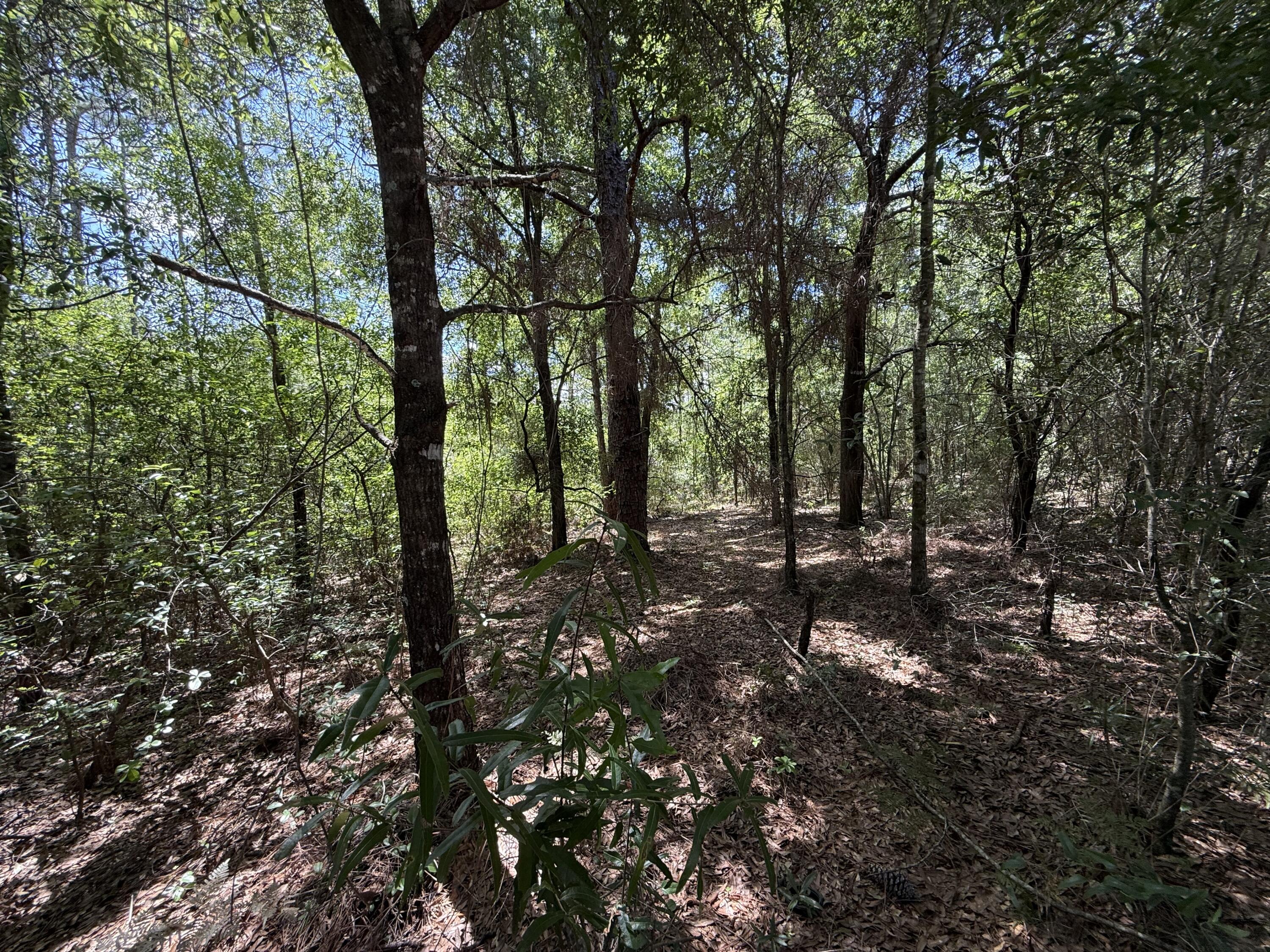 OAKWOOD HILLS UNIT 1 - Land