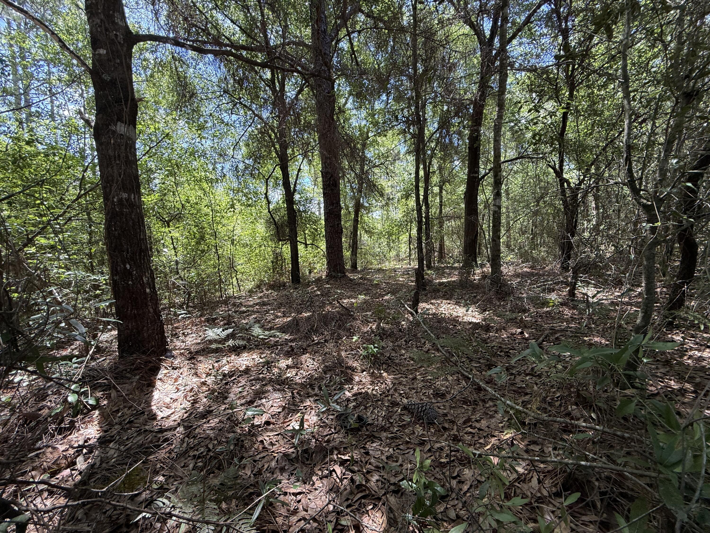 OAKWOOD HILLS UNIT 1 - Land