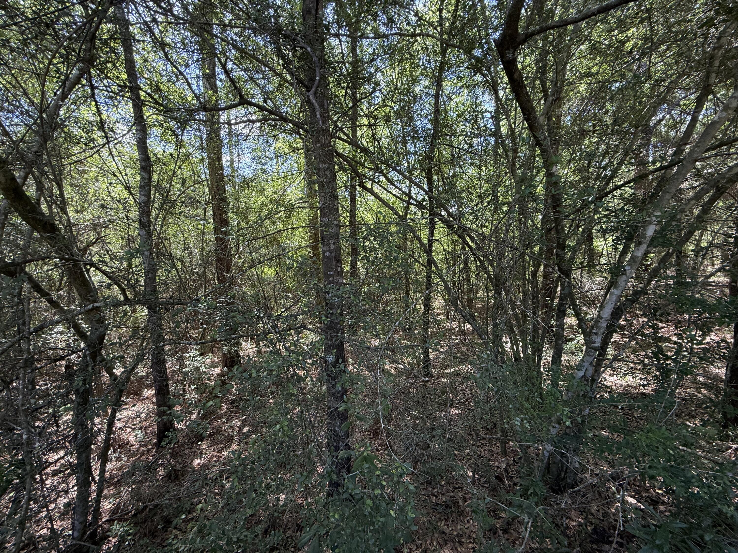 OAKWOOD HILLS UNIT 1 - Land