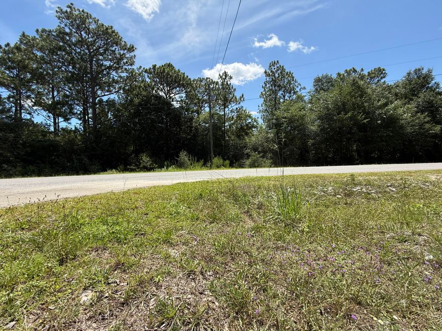 Versatile 1/2-Acre Home site with Rural Charm - No HOA & Mobile Homes AllowedAre you in the market for approximately half an acre of land that offers both flexibility and tranquility? Discover the perfect blend of space and privacy with this peaceful parcel tucked away in a quiet rural setting. Whether you're planning to build your dream home or invest in land, this property provides exceptional value and a wide range of possibilities.Enjoy the natural beauty surrounding the area, all while being conveniently located just 15 minutes from downtown and approximately 45 minutes to the renowned white-sand beaches along scenic 30A.Property Highlights:*Approx. 0.5 Acres*No HOA & Minimal Restrictions*Mobile Homes Allowed*Flood Zone X (low risk)   *Power available at the road *Wetland creek on property (per Walton GIS mapping)
*Well, septic, and power installation required

Take advantage of this affordable opportunity to own a slice of Northwest Florida. Whether you're seeking serenity, space, or a smart investmentthis land checks all the boxes.