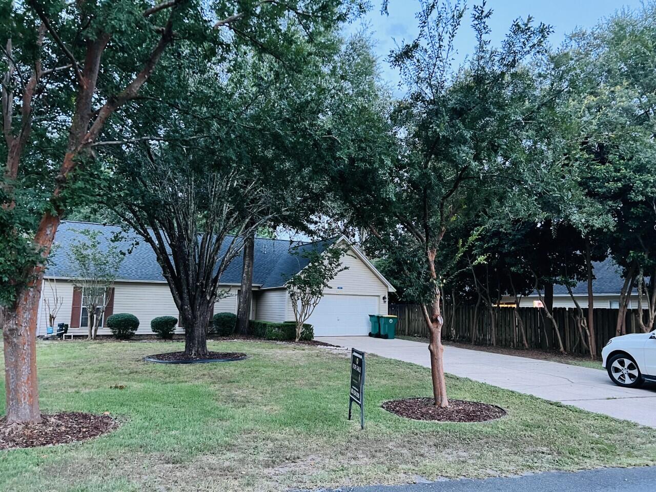 BLUE PINE VILLAGE PH 5 - Residential