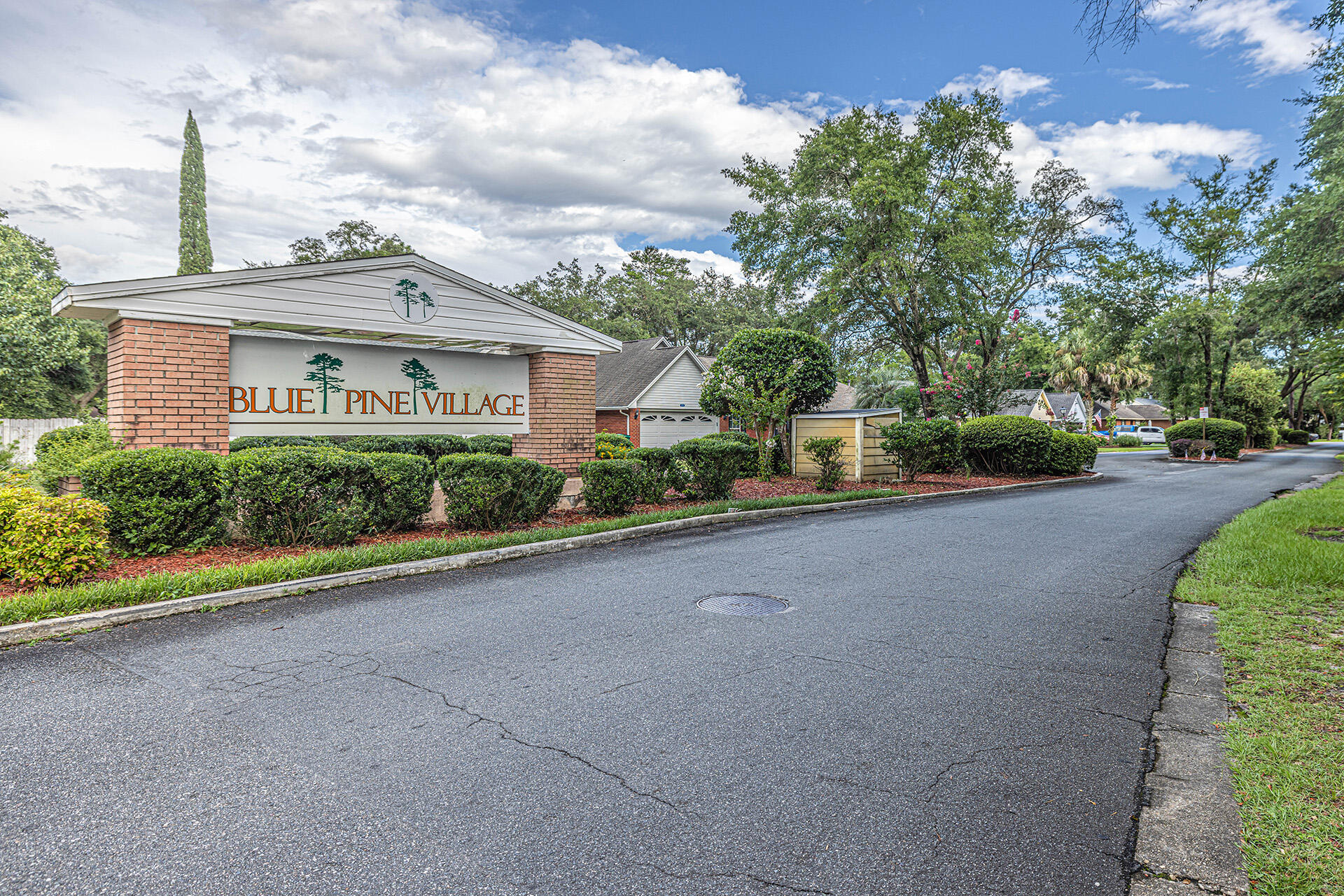 BLUE PINE VILLAGE PH 5 - Residential