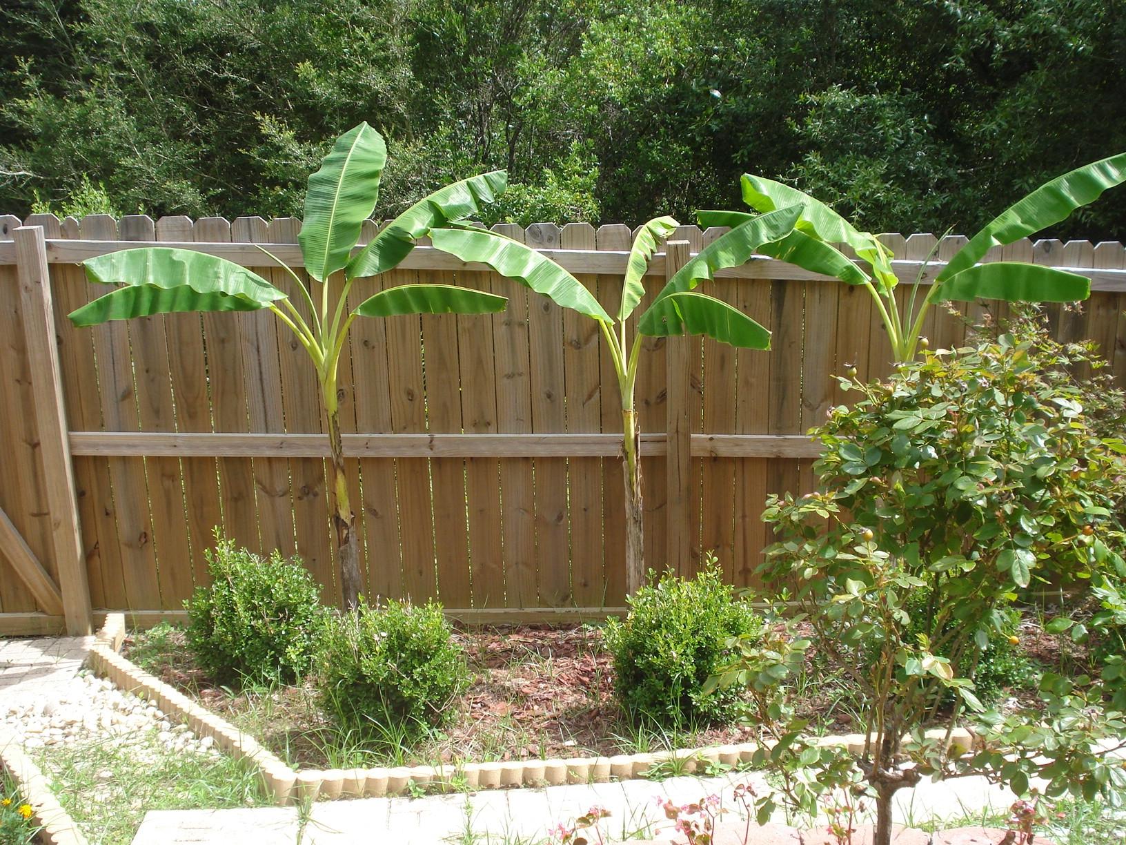 Rolling Pines Townhomes - Residential