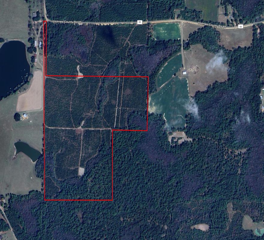 Dream Location for  Hunters Paradise either way you won't want to miss this opportunity! This Beautiful 86.77 +/- Acres of prime land has so much to offer. Bring your  hunting gear, Horses, and ATVS LOCATION LOCATION!!!! This Property has Easy Access to Hwy 2, Hwy 90 and I-10