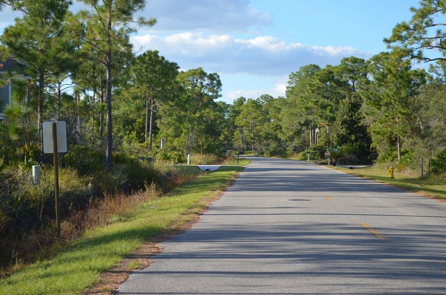 Ready to build your dream home? Then welcome to Driftwood Estates. This 1/2 acre lot is across the street from the bay and is convenient to Grande Blvd, with shopping and restaurants, Sacred Heart Hospital, and the beaches of 30A. Driftwood Estates has a community park with walking trails and playground, and a community pool. Take a drive and see for yourself what a great community this is.