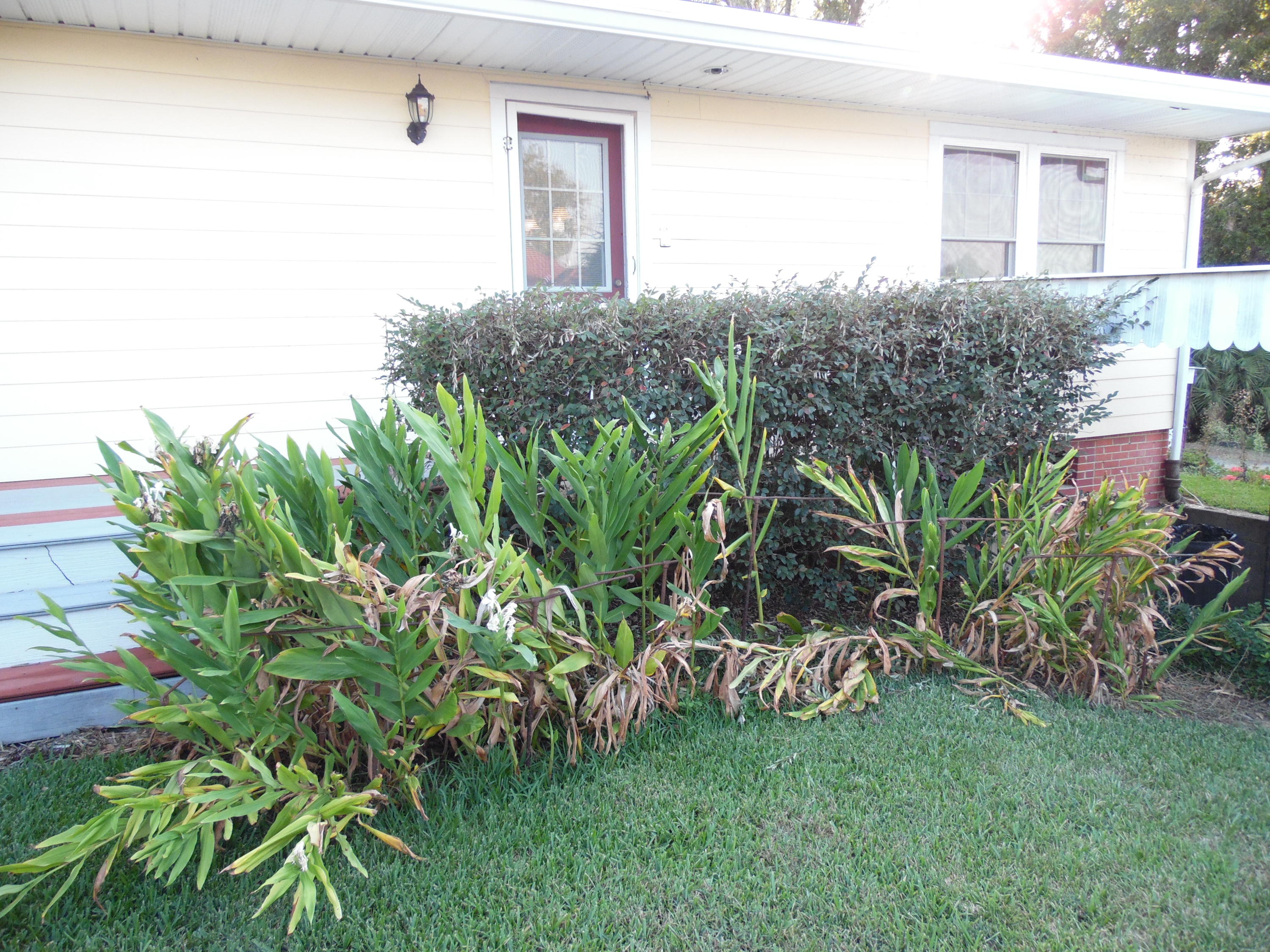 Hughes Add to Florala - Residential