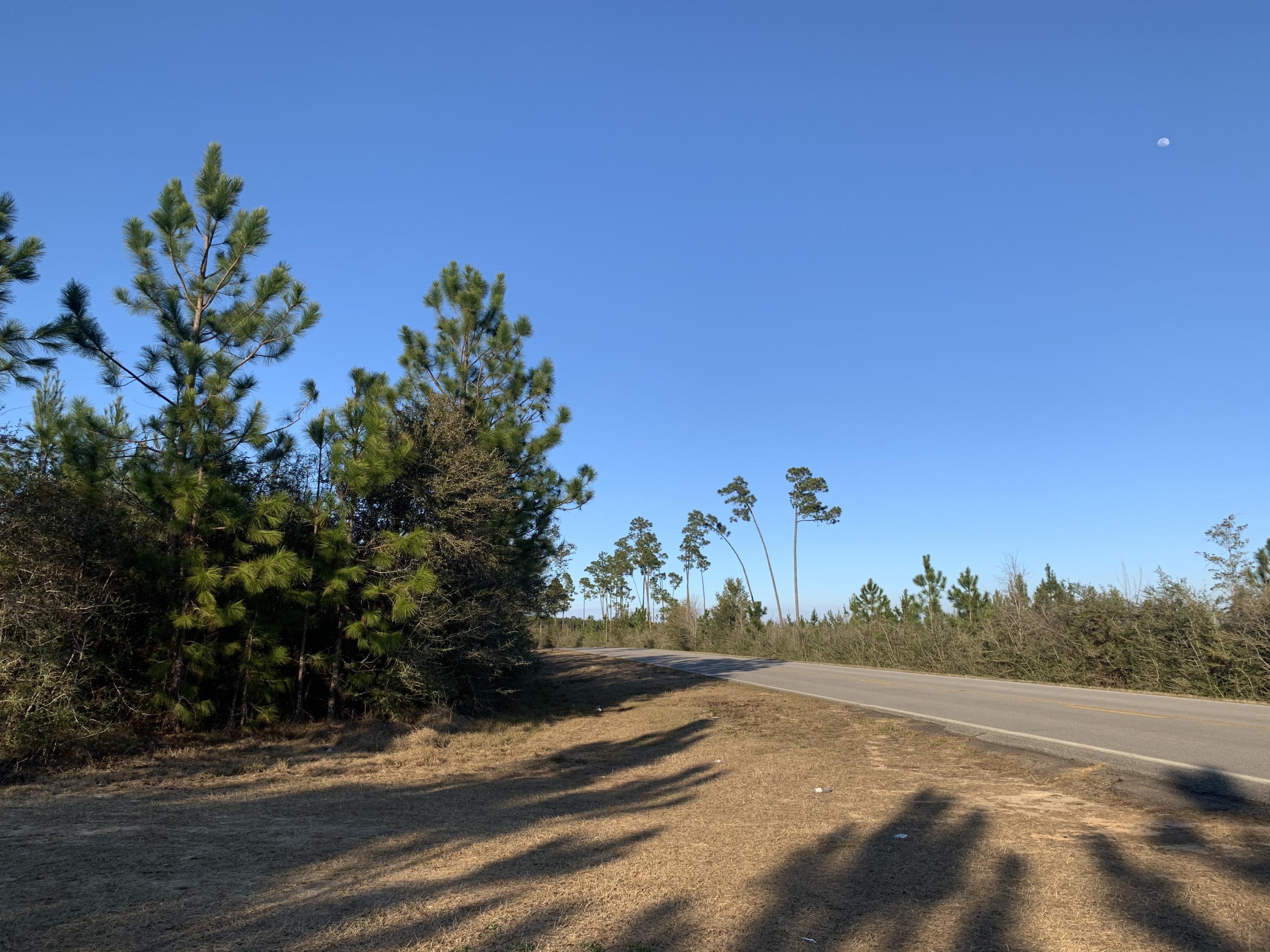 12.56 acres of nature for your hunting or your home! Beautiful timberland with highway access. Schools: Central for Elementary, Central High School for both Middle and High schoolers.Access by appointment only.