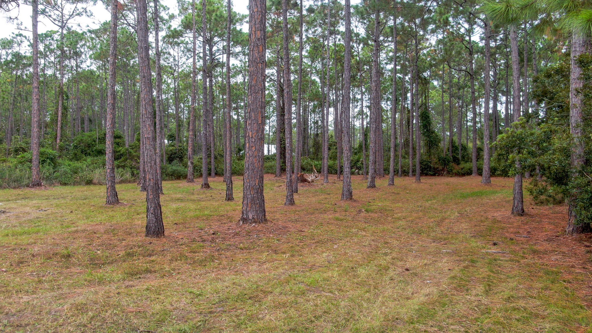 Arc Acres Unrecorded - Land