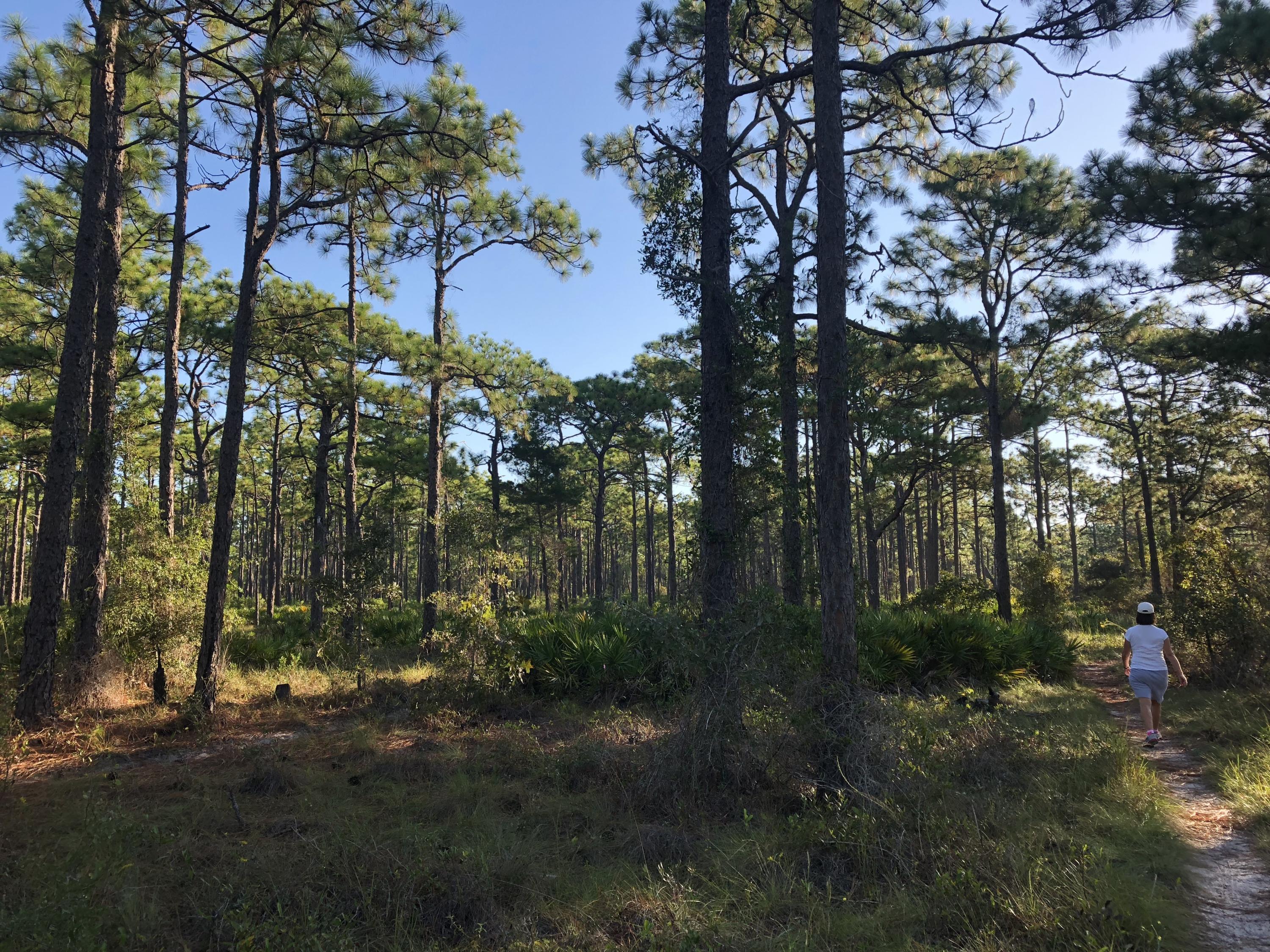 Arc Acres Unrecorded - Land