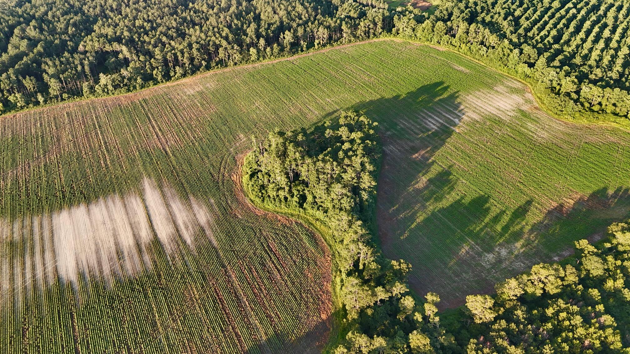 N/A - Farm